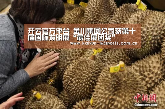 开云综合服务